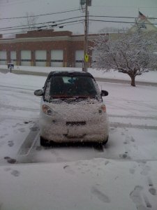 poor smart11.jpg
