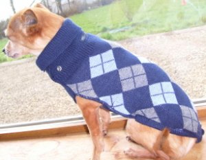 doggie10tallyho.jpg