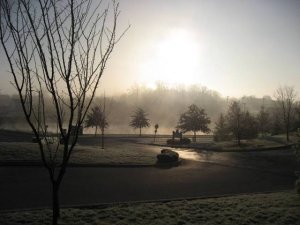 LIB_ColdFallB-ton_022.jpg