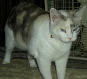 zaleigh.JPG