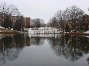 reflectionwo3ur5.jpg