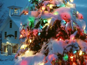 churchntree.jpg