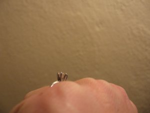 IMG_1377_1.JPG