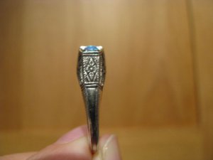 IMG_2667 sized.jpg
