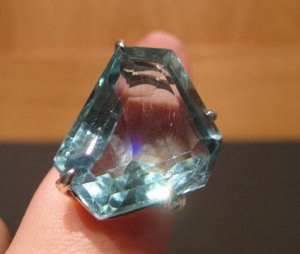 IMG_2684 sized.jpg