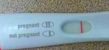 sabinetest112308.jpg