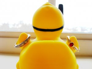 VCringOnWings001.jpg