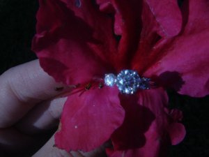 ritaniring17.jpg