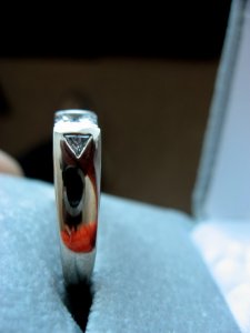 ringrob2.jpg.JPG