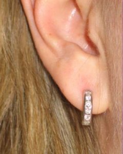 crop ear.jpg