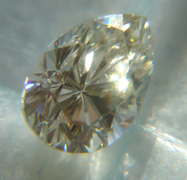 DSC08425small.jpg
