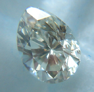 DSC08428small.jpg