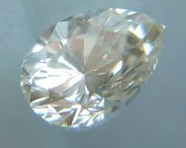 DSC08433small.jpg