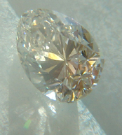 DSC08434small.jpg