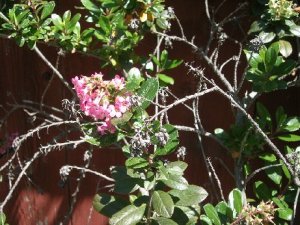 DSCN5321.jpg