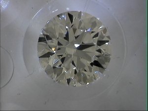 1005fvs2a.JPG