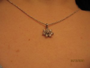 dixie_IMG_0572.JPG