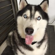 lkhosasi