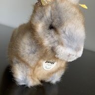 Audeat
