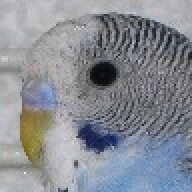 BlueKeet