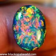 BlackOpalWorld