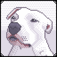 pitbullmom