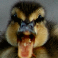 FTRhak