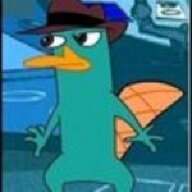 Agent P