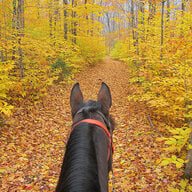 Autumn in New England