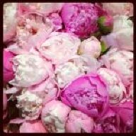 peonyinlove