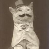 haplessfrank