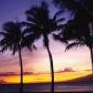 California_Gold