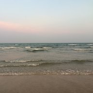 seechelle456