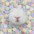 Bunny Appreciator