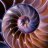 SeeShell