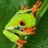 treefrog