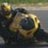 smaggard