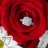 justjewelry