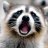 RockyRacoon