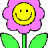 Suzie_QQ