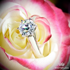 Semi Custom 6 Prong Cathedral Solitaire Engagement Ring