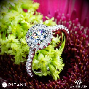 Ritani French Set Halo Diamond Band Engagement Ring set with a 0.80ct A CUT ABOVE
