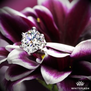 Media 'Contemporary Solitaire Engagement Ring with a 1.055ct A CUT ABOVE' in category 'Whiteflash'