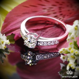 Rounded Open Cathedral Diamond Engagement Ring with a 0.77ct Expert Selection