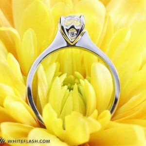'Full of Surprises' Diamond Engagement Ring