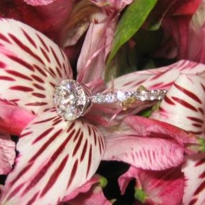 Eternal Flower