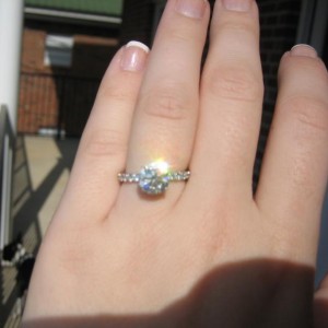 Sparkles in the Sunlight