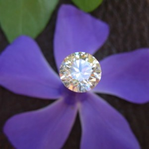Diamond bloom