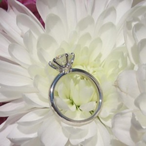 Lockes On A Flower