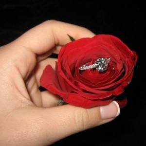 A Diamond Within a Red Rose